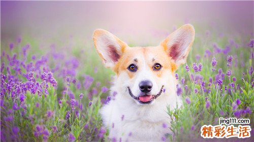 尿频按摩什么穴位