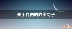 关于自由的唯美句子