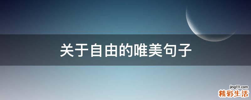 关于自由的唯美句子