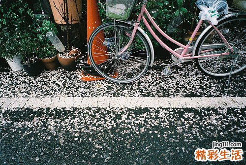 慢性咽炎能治好嘛