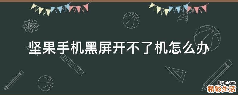 坚果手机黑屏开不了机怎么办