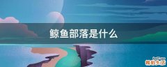 鲸鱼部落是什么