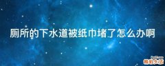 厕所的下水道被纸巾堵了怎么办啊