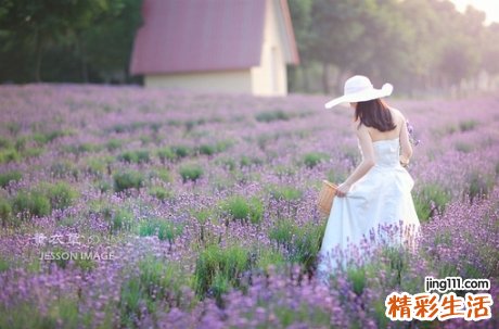 酒精如何引起急性胰腺炎