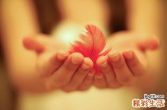 2 杜鹃花果实
