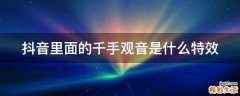抖音里面的千手观音是什么特效