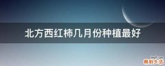 北方西红柿几月份种植最好
