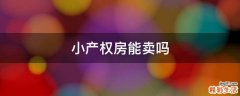 小产权房能卖吗