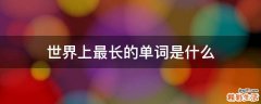 世界上最长的单词是什么