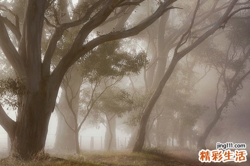 宝宝感冒按摩什么穴位