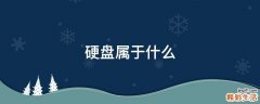 硬盘属于什么