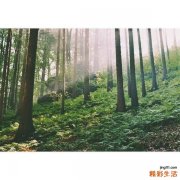 颞下颌关节变形