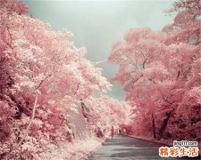 什么是十二指肠淤积症