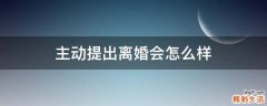 主动提出离婚会怎么样