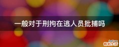 一般对于刑拘在逃人员批捕吗