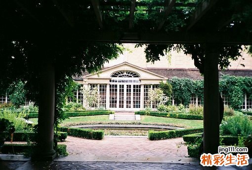 什么是胰腺脓肿