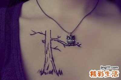 2 红叶木姜子根