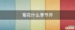 菊花什么季节开