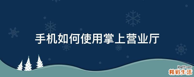 手机如何使用掌上营业厅