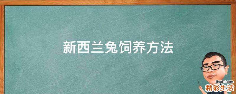 新西兰兔饲养方法