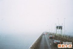 感染专题：重症慢性气道疾病合并侵袭性肺曲菌病的临床特点