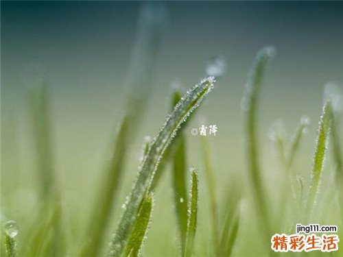 孩子偏食易得孤独症