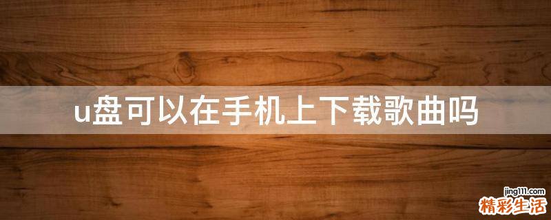 u盘可以在手机上下载歌曲吗