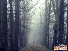 64岁郭台铭再当爹 男人太晚生育影响孩子健康