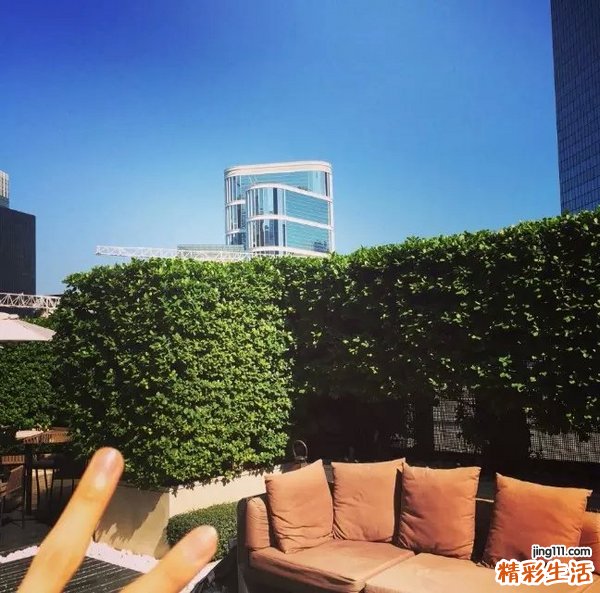 2 茶油及茶籽饼用途