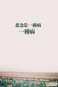 5 参须