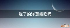 烂了的洋葱能吃吗