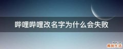 哔哩哔哩改名字为什么会失败