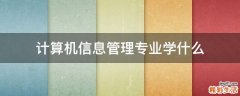 计算机信息管理专业学什么