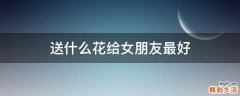 送什么花给女朋友最好