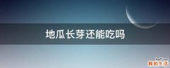地瓜长芽还能吃吗