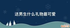 送男生什么礼物最可爱