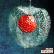4 活血调经药