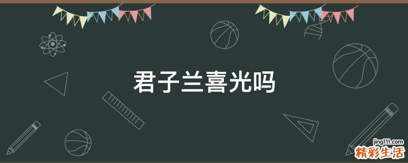 君子兰喜光吗
