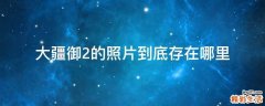 大疆御2的照片到底存在哪里