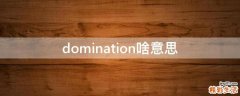 domination啥意思