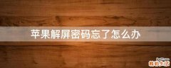 苹果解屏密码忘了怎么办