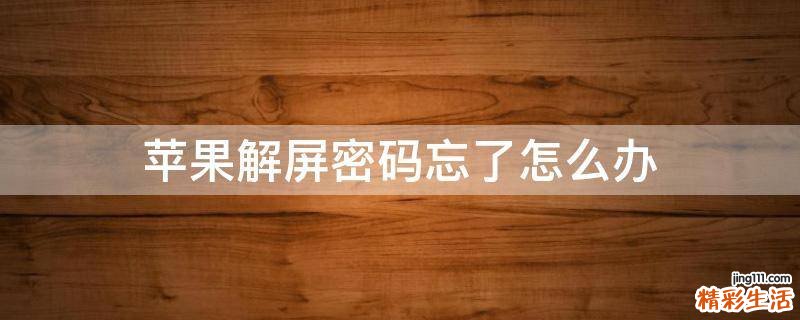 苹果解屏密码忘了怎么办