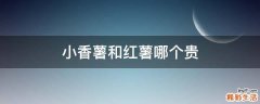 小香薯和红薯哪个贵