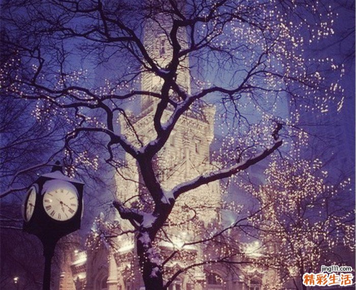 肾虚可以吃生茶油吗