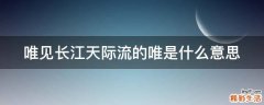 唯见长江天际流的唯是什么意思