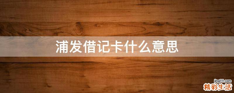 浦发借记卡什么意思