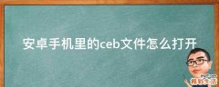 安卓手机里的ceb文件怎么打开