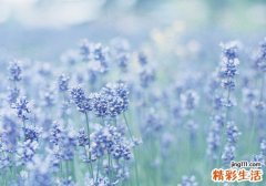 痫病鉴别诊断