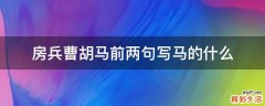 房兵曹胡马前两句写马的什么