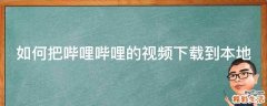 如何把哔哩哔哩的视频下载到本地